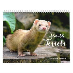 Entzückende Frettchen 2027 Kalender