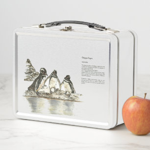 Entzückende gefährdete Galapagos-Pinguine Aquarell Metall Brotdose