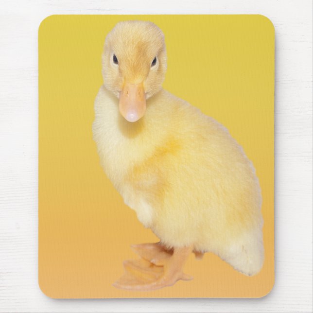 Entzückende gelbe Entlein-Fotografie Mousepad (Vorne)
