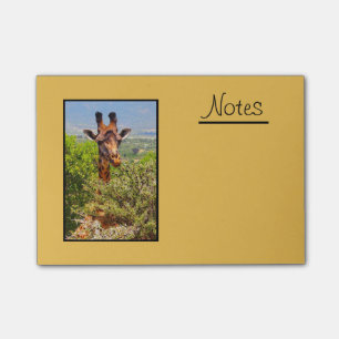 Entzückende Giraffe, die seinen Kopf über den Post-it Klebezettel