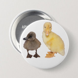 Entzückende graue und gelbe Entlein-Fotografie Button