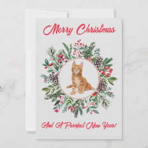 Entzückende Katzen-Flat-Weihnachtskarte Feiertagskarte