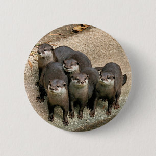 Entzückende Otter-Familie Button