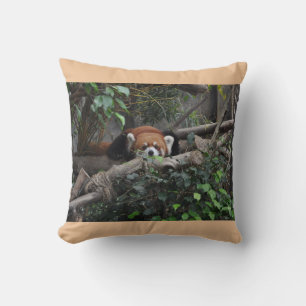 Entzückende Rote-Panda-Wildtier-Naturfotografie Kissen