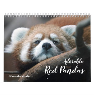 Entzückende Rote Pandas 2027 Kalender