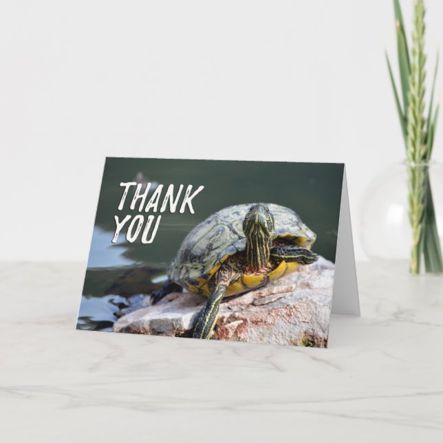 Entzückende Schildkröten-Foto-Dankeskarten Dankeskarte (Vorderseite)