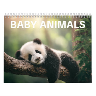 Entzückende Tierfotografie Babytier-Wandkalender Kalender