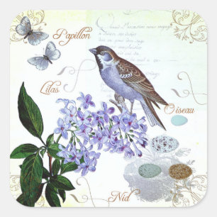 Entzückende Vintage-französische Vogel-Text-Blumen Quadratischer Aufkleber