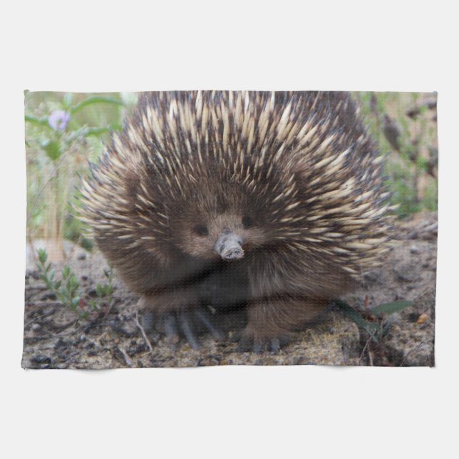 Entzückender australischer Echidna Küchentuch (Horizontal)