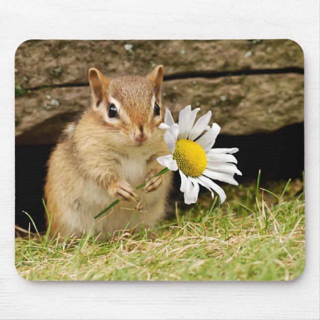 Entzückender BabyChipmunk mit Gänseblümchen Mousepad (Vorne)