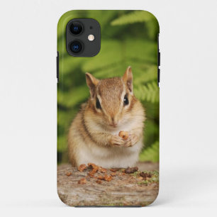 Entzückender BabyChipmunk mit Imbiss iPhone 11 Hülle