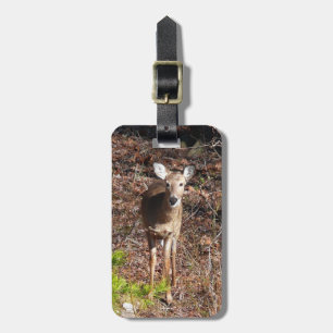 Entzückender Hirsch im Wald Naturfotografie Gepäckanhänger