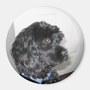 Entzückender Hundemagnet Magnet