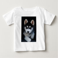 Entzückender Husky-Schlitten-Hundewelpe