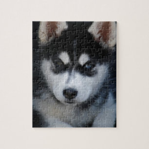 Entzückender Husky-Schlitten-Hundewelpe Puzzle