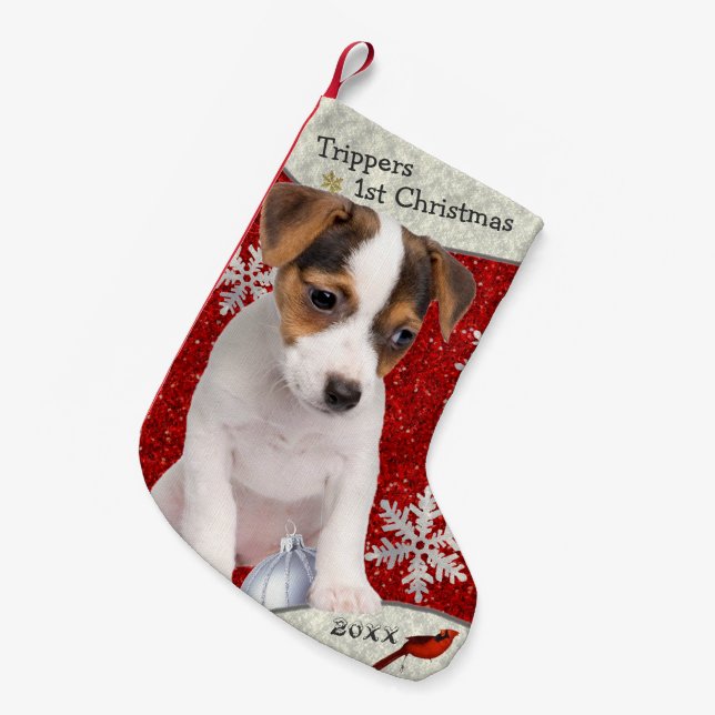Entzückender Jack-Russell-Welpen-WeihnachtsStrumpf Kleiner Weihnachtsstrumpf (Vorderansicht (hängend))
