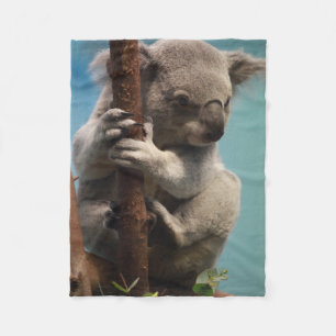 Entzückender Koala, der auf Baum-Fleece-Decke hält Fleecedecke