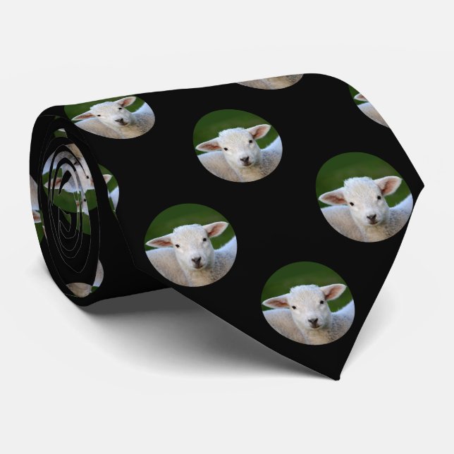 Entzückender Lamm-Tupfen Krawatte (Gerollt)