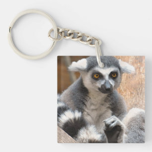 Entzückender Lemur Schlüsselanhänger