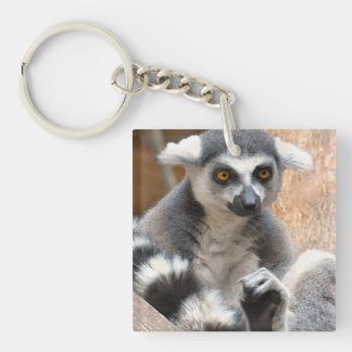 Entzückender Lemur Schlüsselanhänger