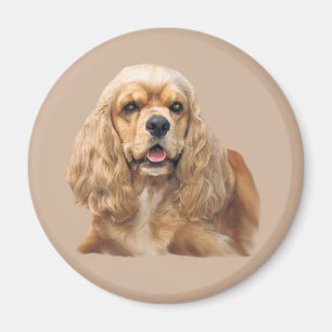 Entzückender Magnet Cocker spaniels gerade