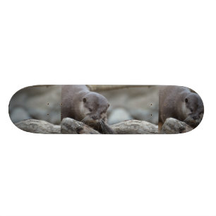 Entzückender Otter Skateboard