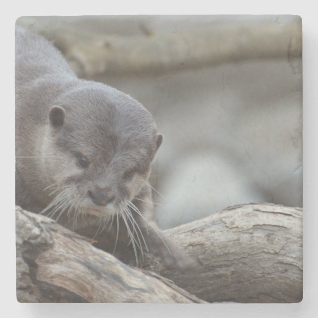 Entzückender Otter Steinuntersetzer (Vorderseite)