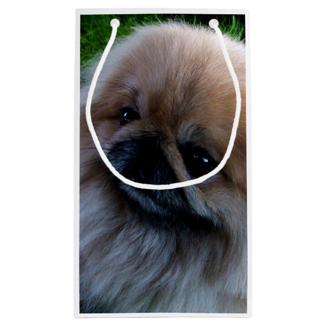Entzückender Pekingese Welpe Kleine Geschenktüte (Rückseite)