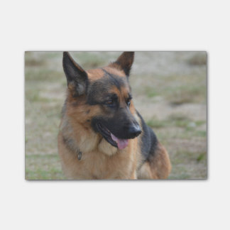 Entzückender Schäferhund Post-it Klebezettel