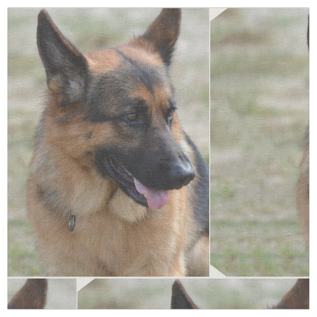 Entzückender Schäferhund Stoff (Nahaufnahme)