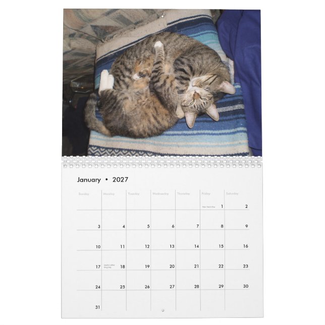 Entzückender Tierkalender Kalender (Jan 2027)