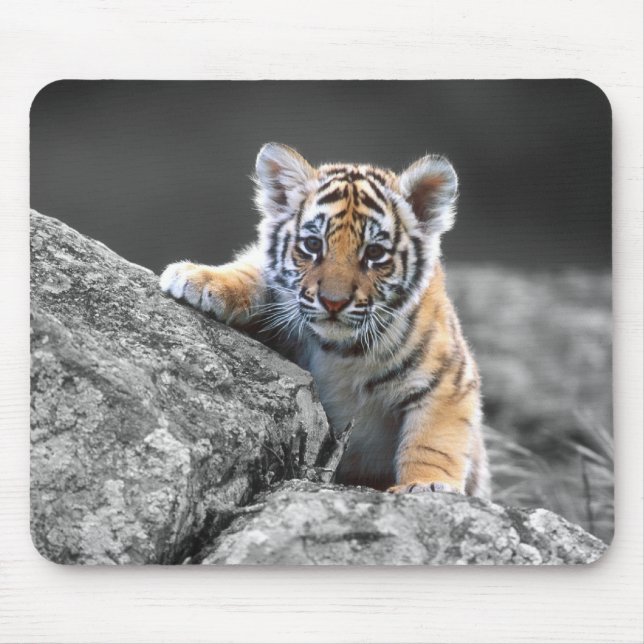 Entzückender Tiger CUB Mousepad (Vorne)