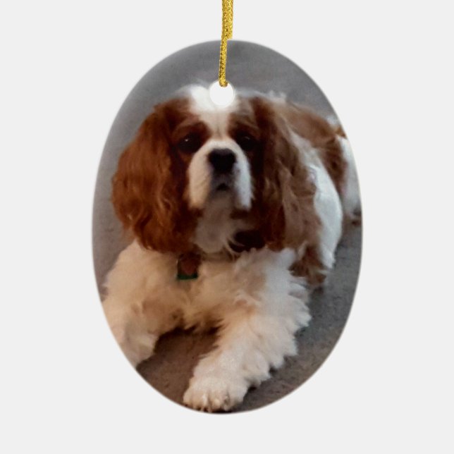 Entzückender unbekümmerter Königcharles Spaniel Keramik Ornament (Vorne)