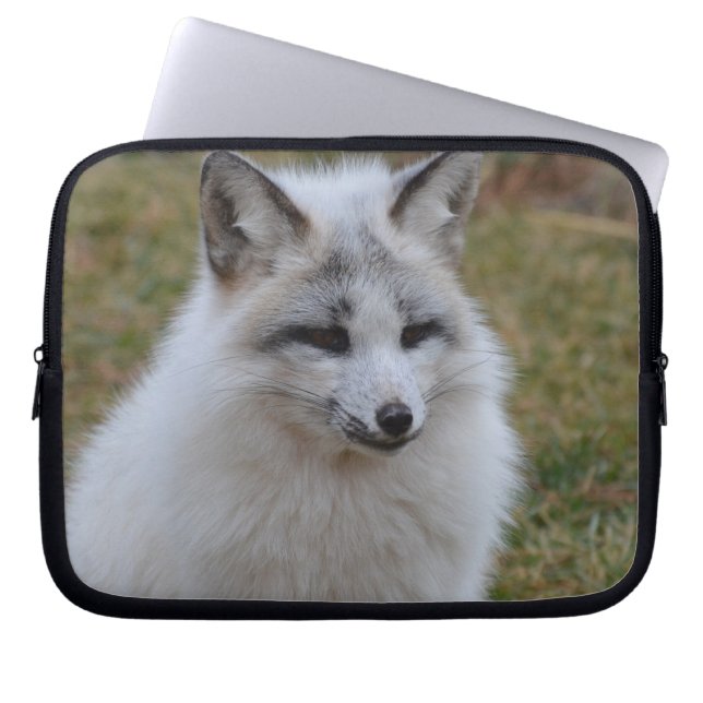 Entzückender weißer Fox Laptopschutzhülle (Vorderseite)