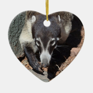 Entzückender weißer gerochener Coati Keramik Ornament