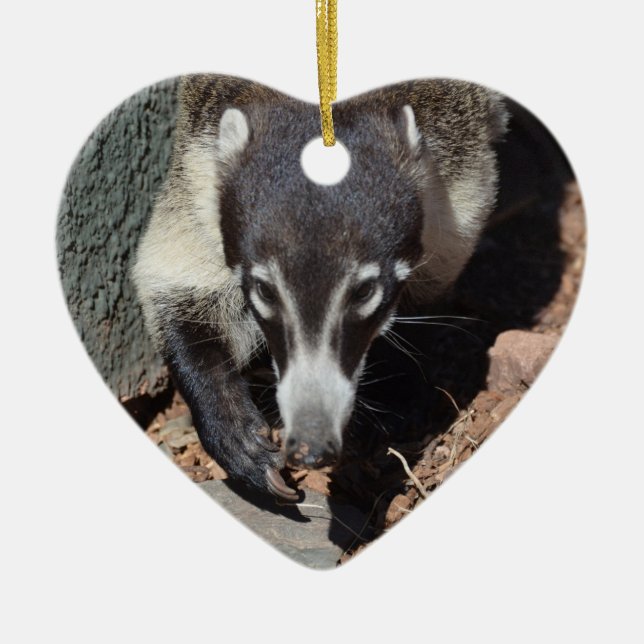 Entzückender weißer gerochener Coati Keramik Ornament (Vorne)