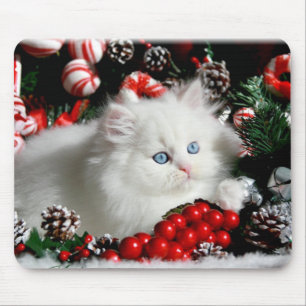 Entzückender weißer Perser in der Mousepad