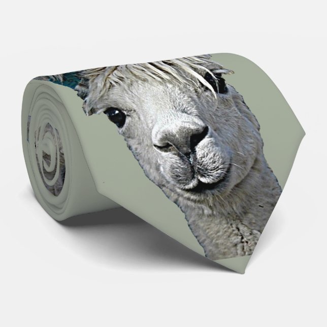 Entzückendes Alpaka Krawatte (Gerollt)