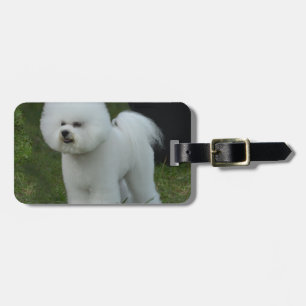 Entzückendes Bichon Gepäckanhänger