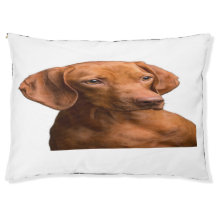 Entzückendes Dachshund-Porträt Kuschel-Hundebett