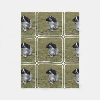 Entzückendes Englisch Cocker spaniel Fleecedecke