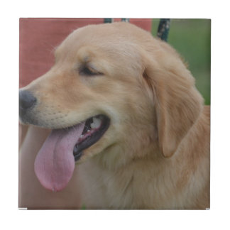 Entzückendes golden retriever fliese
