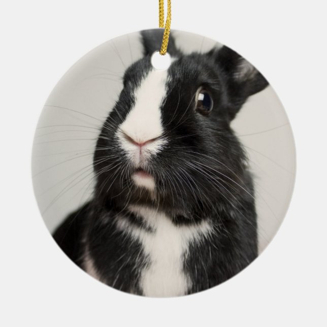 Entzückendes Schwarzweiss-Häschen Keramikornament (Vorne)