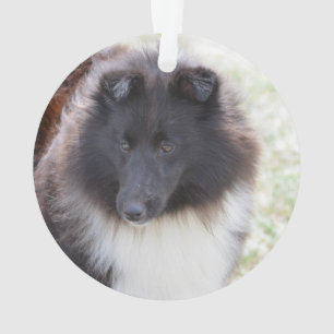 Entzückendes Sheltie Ornament