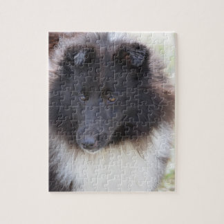 Entzückendes Sheltie Puzzle