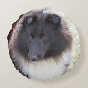 Entzückendes Sheltie Rundes Kissen