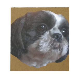 Entzückendes Shih tzu Rico Notizblock