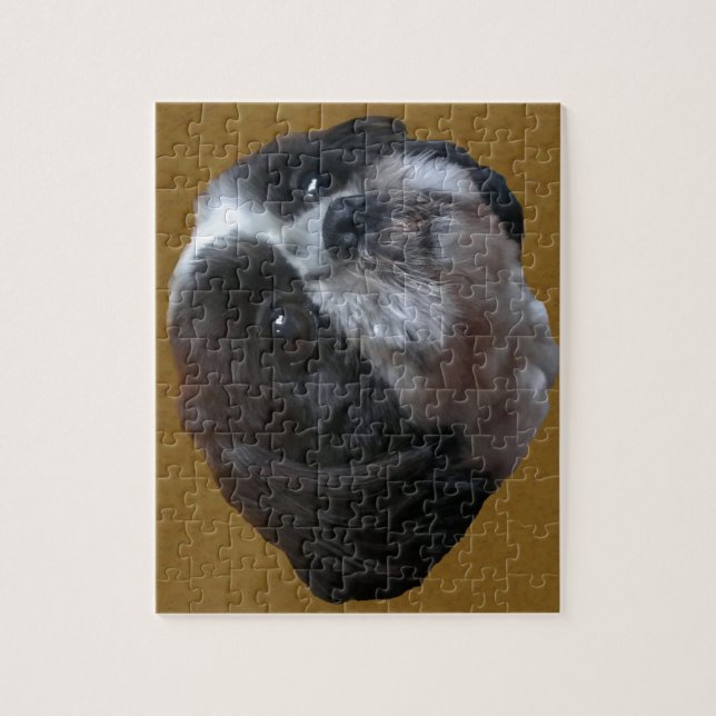 Entzückendes Shih tzu Rico Puzzle (Vertikal)