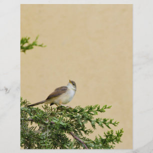 Entzückendes Spatzen-Vogel-Foto Flyer