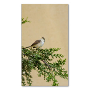 Entzückendes Spatzen-Vogel-Foto Magnetische Visitenkarte
